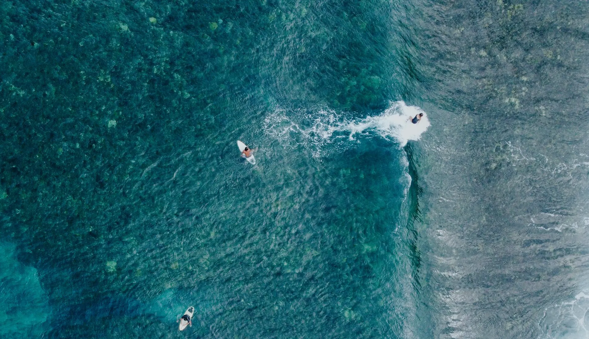 A surfer riding a wave over a turquoise reef, seen from a drone straight above, with two surfers paddling nearby